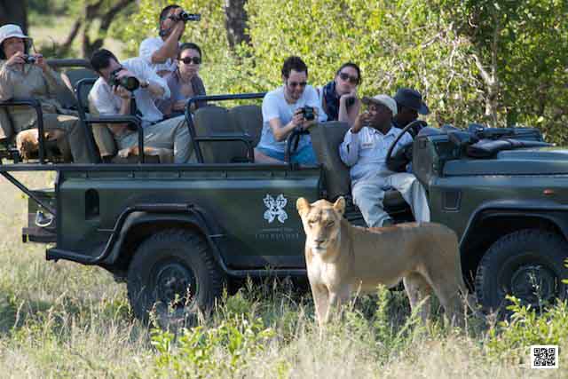 6-how-to-plan-a-big-cat-african-photographic-safari