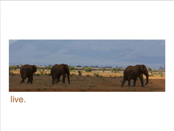 7-photographic-safaris-south-africa-masai-mara-kenya-botswana-tanzania-namibia-ephoto-book-live