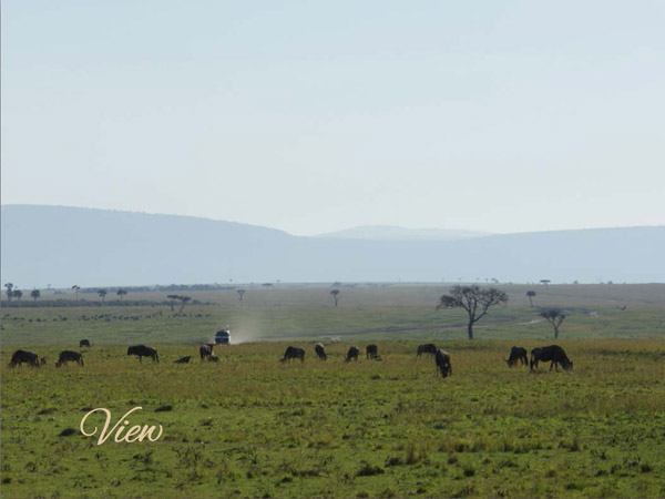 7-wildlife-photography-courses-masai-mara-kenya-tanzania-south-africa-botswana-ephoto-book-view