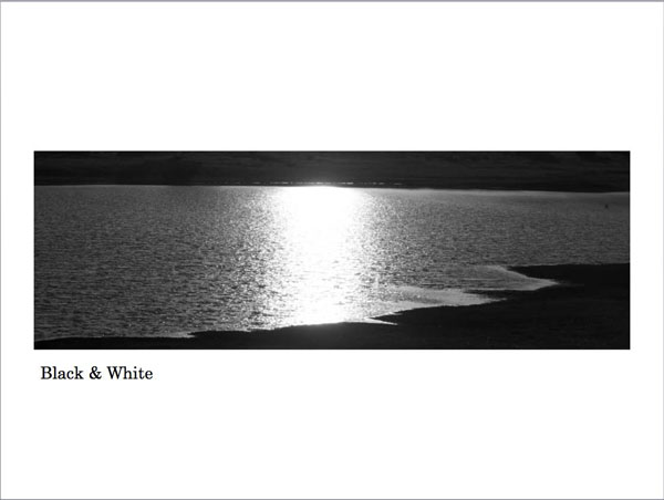 ephoto-book-black-and-white-wildlife-photogrpahy-safari