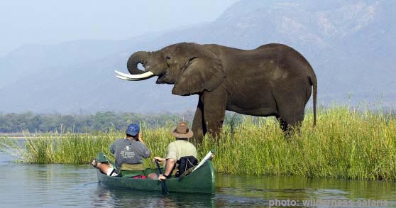 wildlife photography courses Kenya Tanzania south Africa Botswana canoe slalom