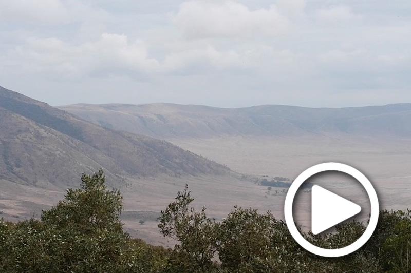 ngorongoro crater safari tours kenya