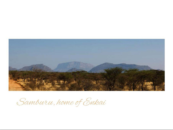 7-photographic-safaris-south-africa-masai-mara-kenya-botswana-tanzania-namibia-enkai
