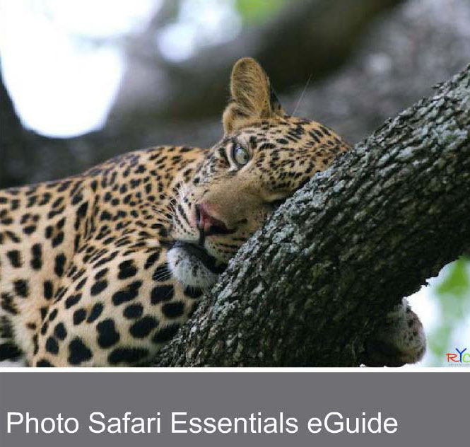good-travel-reads-for-african-safaris