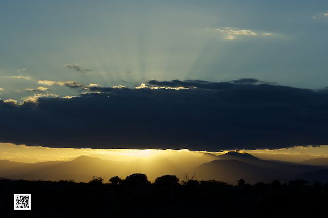 wildlife photography courses Kenya Tanzania south Africa Botswana apple photo book