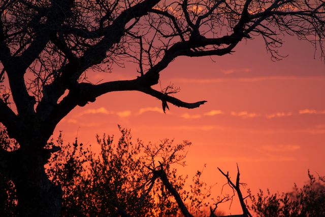 wildlife photography courses Kenya Tanzania south Africa Botswana photo gear review