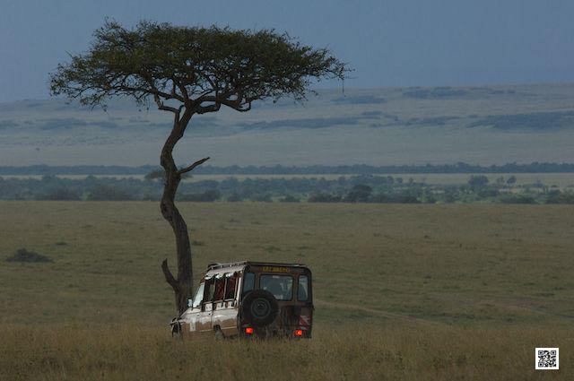 wildlife photography courses Kenya Tanzania south Africa Botswana inspiration photo