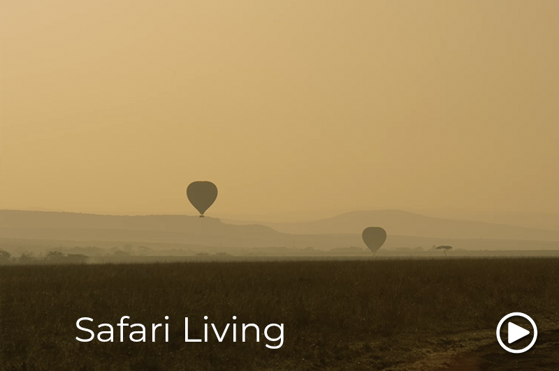 safari living east africa video