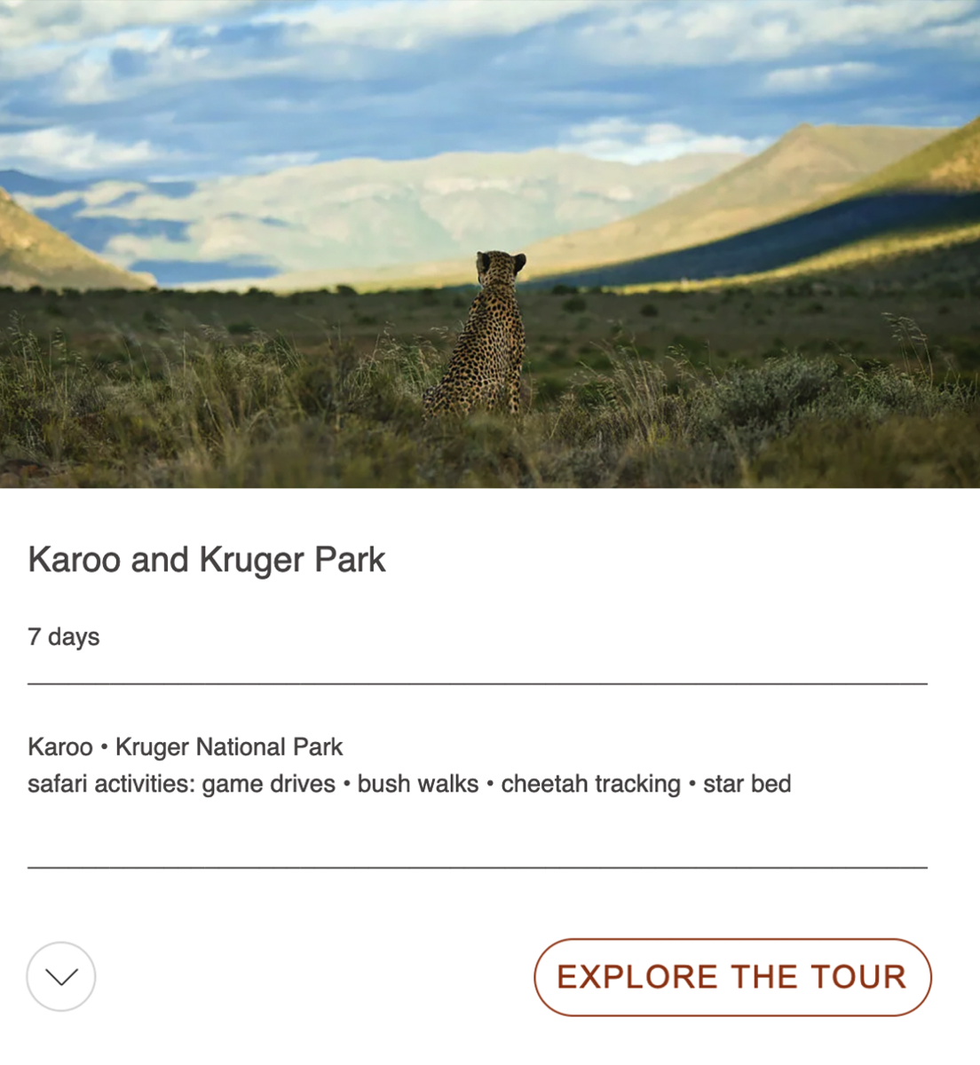 karoo and kruger tour