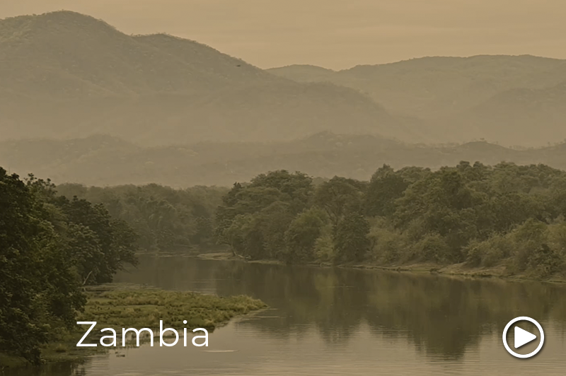 enchanting zambia video