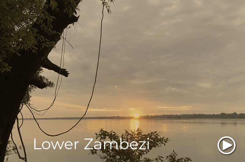 lower zambezi video